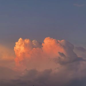 爆操白丝嫩逼逼
